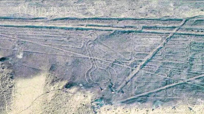 Palpa: Criaderos de cerdos en área donde están los geoglifos 