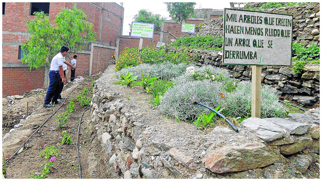 Huánuco: Escolares reciclan en biohuertos 