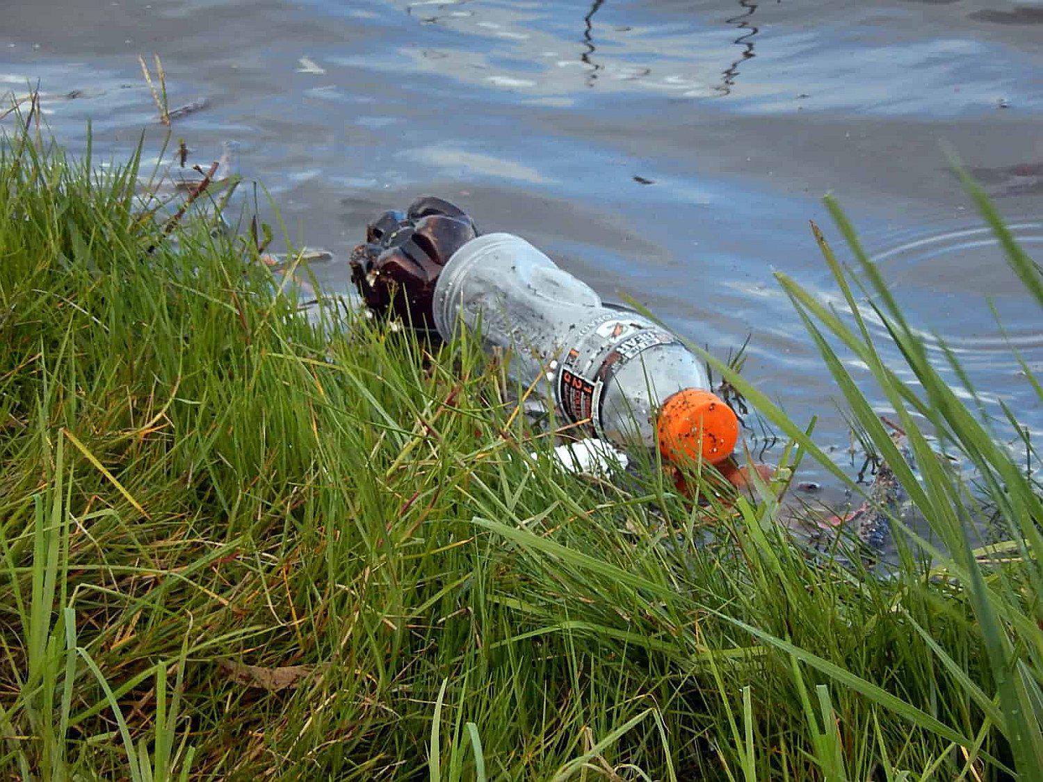 Realizan el streaming más largo de la historia, durará 450 años