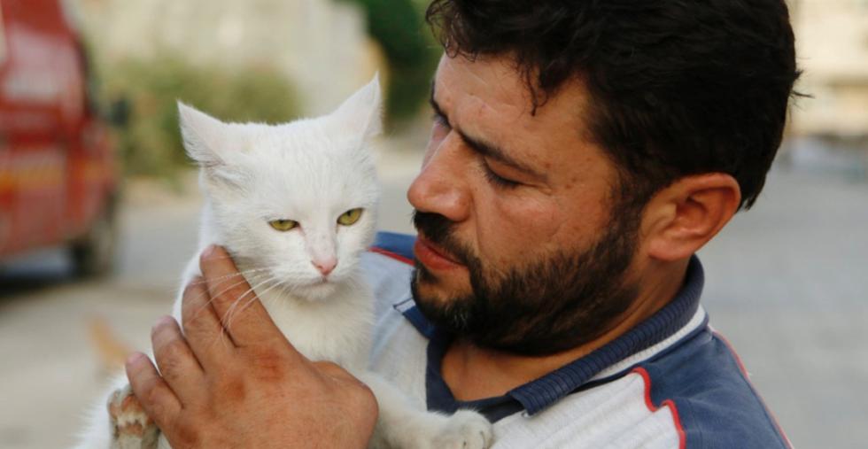 Motorista cuida y alimenta gatos abandonados por bombardeos en Siria (FOTOS)