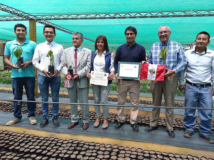 Seis árboles de la quina están aclimatados en Arequipa