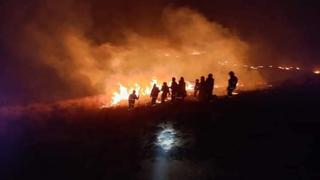 Juliaca: Incendio forestal duró 12 horas