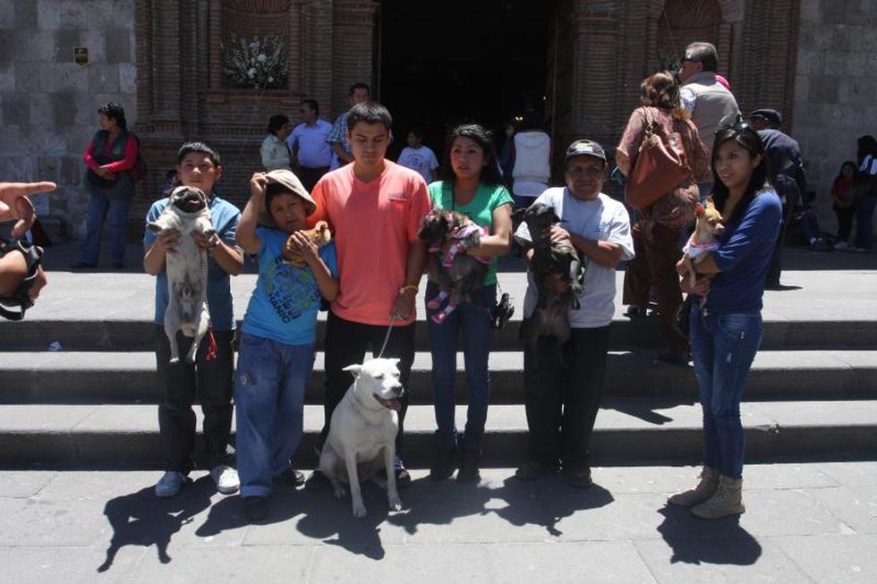 Dia de bendicion de mascotas