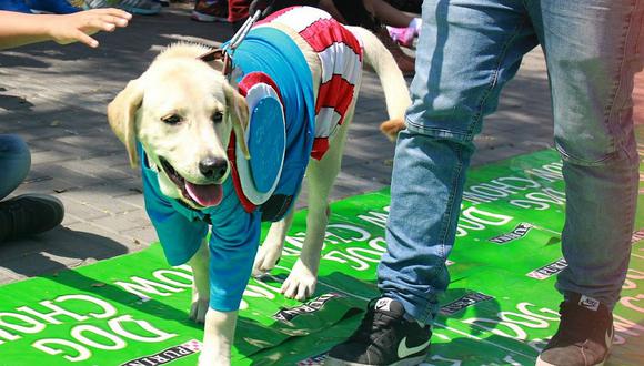Trujillo: Organizan festival de "ComicCon Canino"