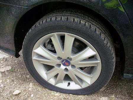 Denuncian a antitaurinos por pintas en vehículos