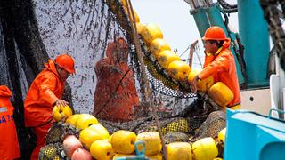 Segunda temporada de pesca de anchoveta registra 72% de avance