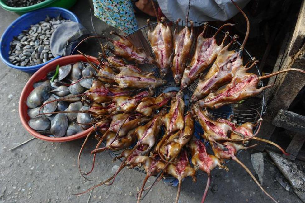 Ratas a la parrilla: delicia culinaria en Vietnam (FOTOS)