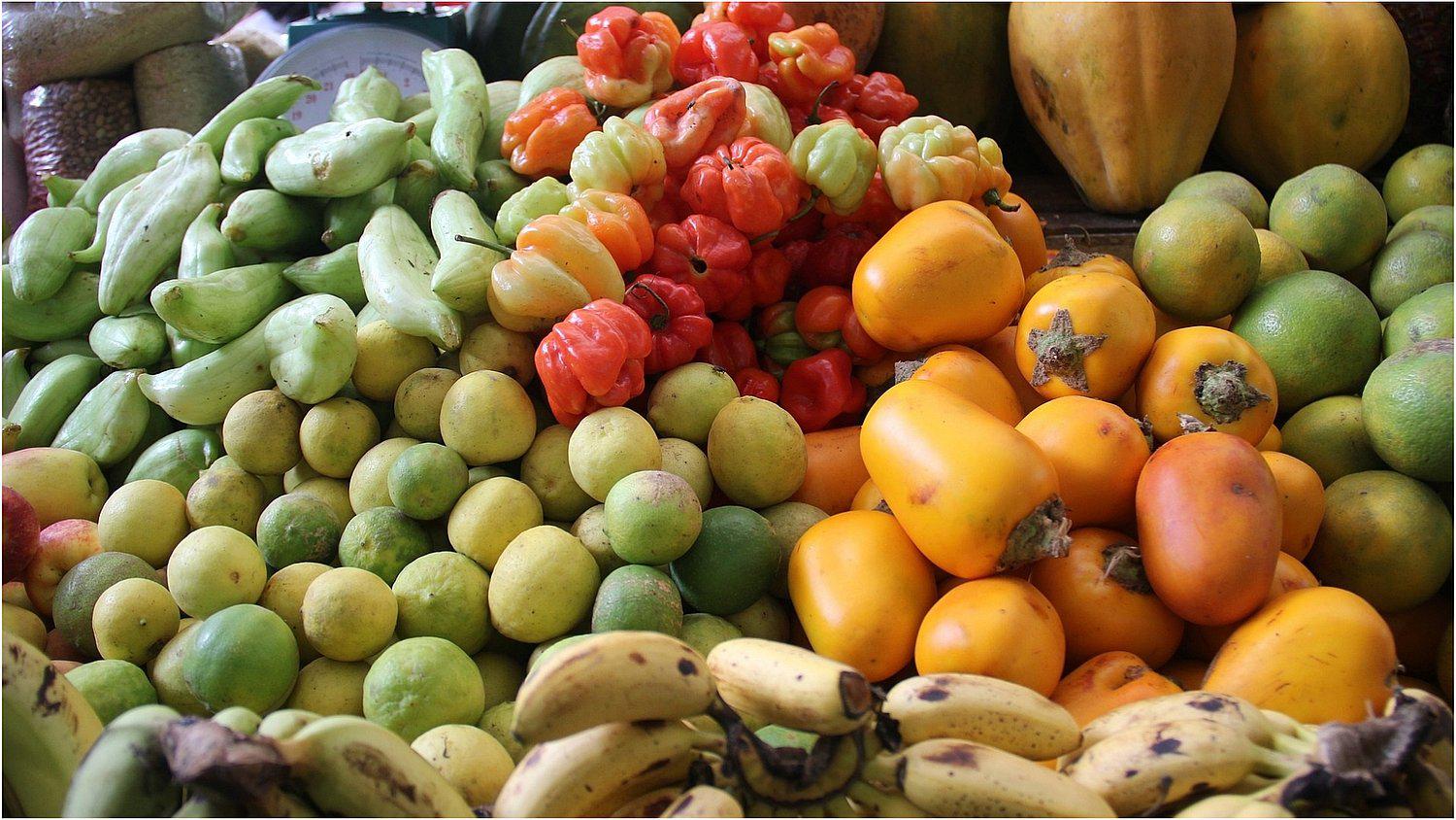 10 tips infalibles para conservar los alimentos frescos en verano 