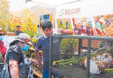 Chimbote: Feria reúne a 200 pequeños productores