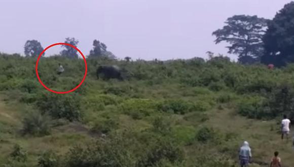 YouTube: quiso tomarse un selfie con un elefante, se acercó demasiado y murió pisoteado (VIDEO)