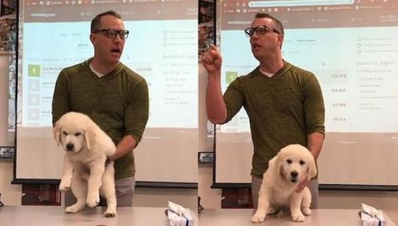 Un profesor amenaza a sus alumnos con matar a un perro si no ganan un concurso