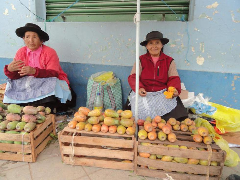 La Tuna: la fruta que pasó del suelo al cielo (FOTOS)