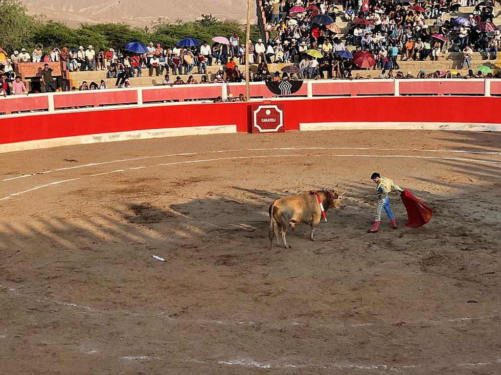 Corridas de toros en Festividad de la Virgen del Buen Paso de Caravelí (FOTOS)