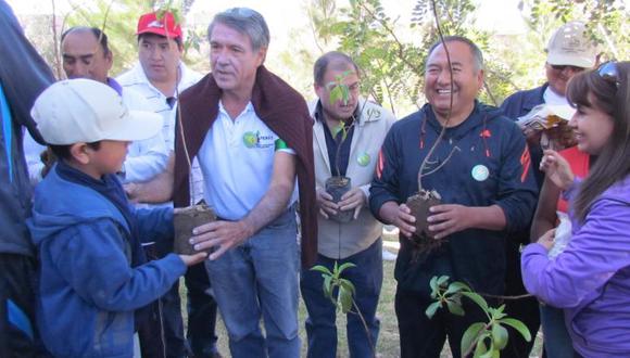 Sembrarán 10 mil arbolitos en Arequipa