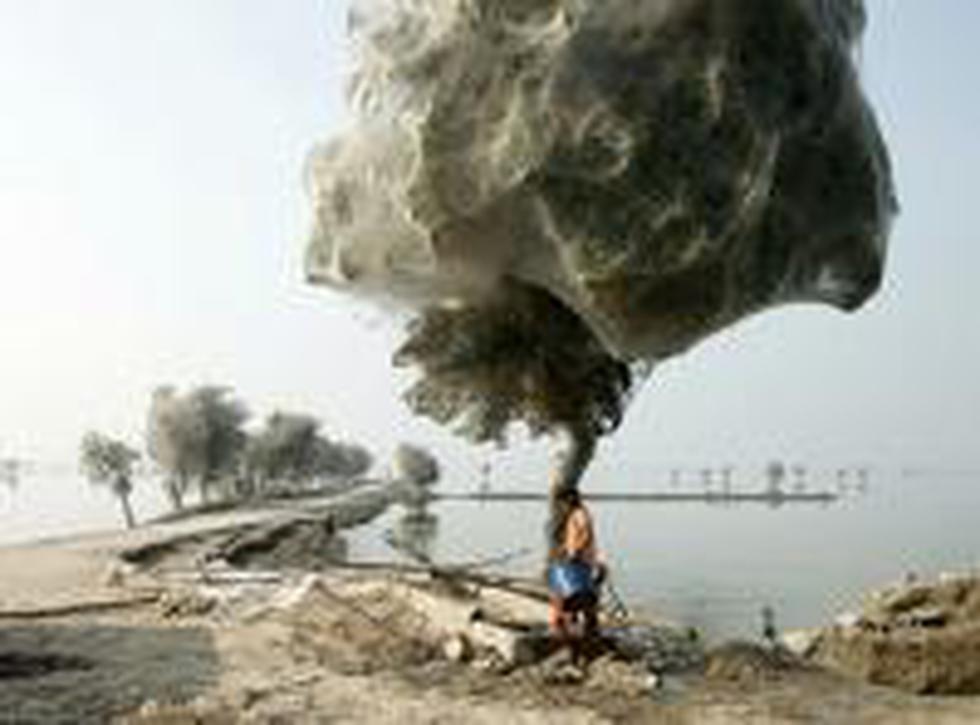 Pakistán: Tela de arañas invaden árboles