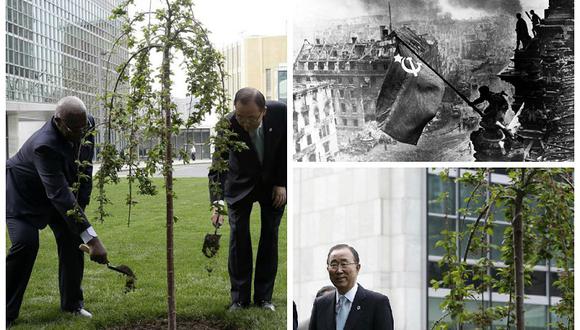 ONU recuerda el fin de la II Guerra Mundial con un árbol símbolo de la paz