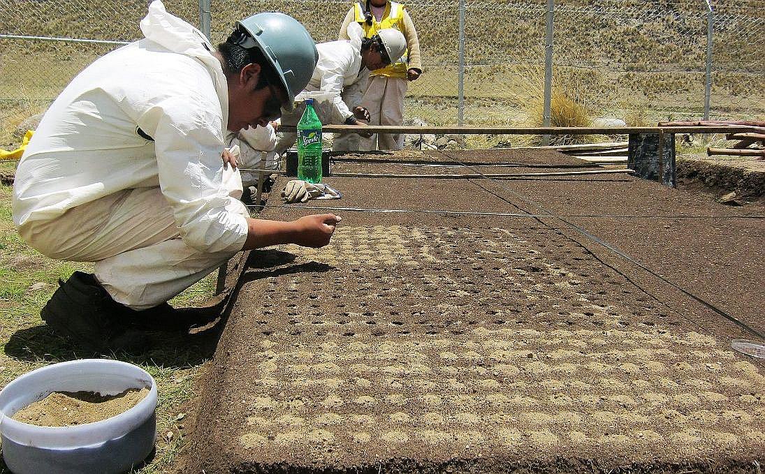 Reconocen proyecto de revegetación en la mina Constancia
