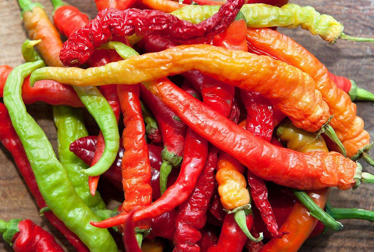 Gobierno confirma que "Día de los ajíes peruanos" se celebrará en setiembre 