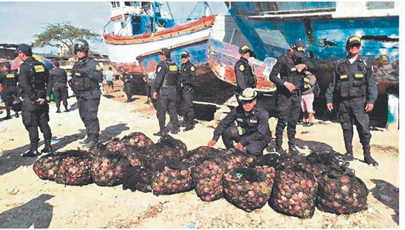 Personal policial decomisa dos toneladas de concha de abanico