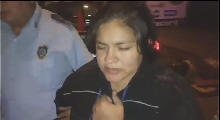 Un viejo árbol cae y casi aplasta a una mujer (VIDEO)