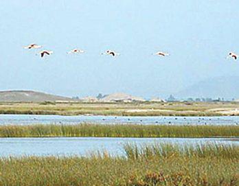Cerro Negro en riesgo por proyecto Virú Mar