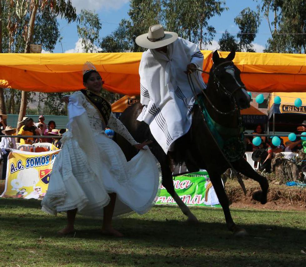 Junín busca al mejor caballo de paso (FOTOS)