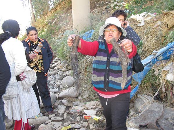 Comerciantes aseguran que mafias están detrás de hallazgo de "colas de perros"