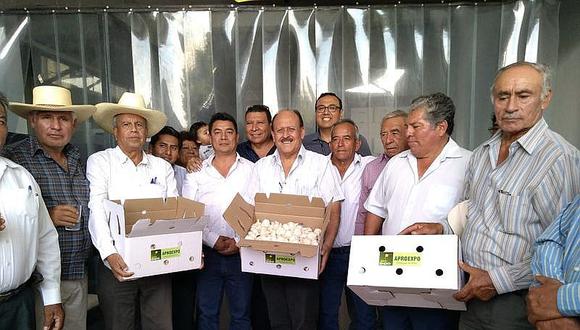 Agricultores de Tambo y La Joya exportan ajo chino a Brasil 