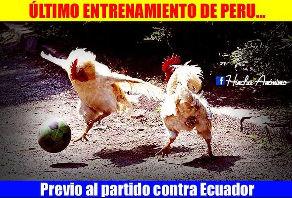 Perú - Ecuador: Mira los 'memes' del país vecino