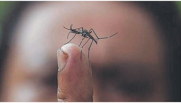 Articulan esfuerzos para erradicar el dengue 