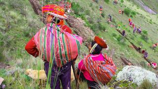 Plantan más de 800 mil especies nativas en el Valle Sagrado de Los Incas (FOTOS)