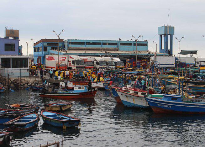 Produce dispone creacion de CITE en Moquegua