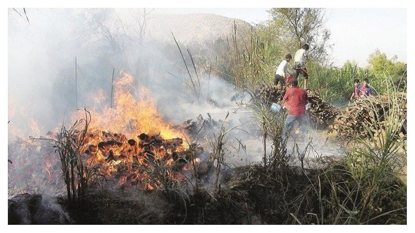 Tres incendios forestales en Motupe