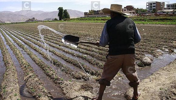 La campaña agrícola del 2017 está garantizada en Arequipa