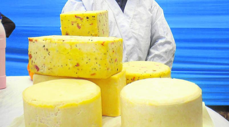 Producción de ganado caprino mejora  en Junín