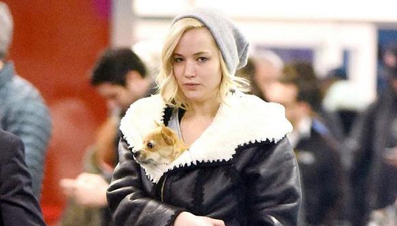 ​Jennifer Lawrence: el grosero gesto de la actriz con periodista que intentó tocar a su perro (VIDEO)
