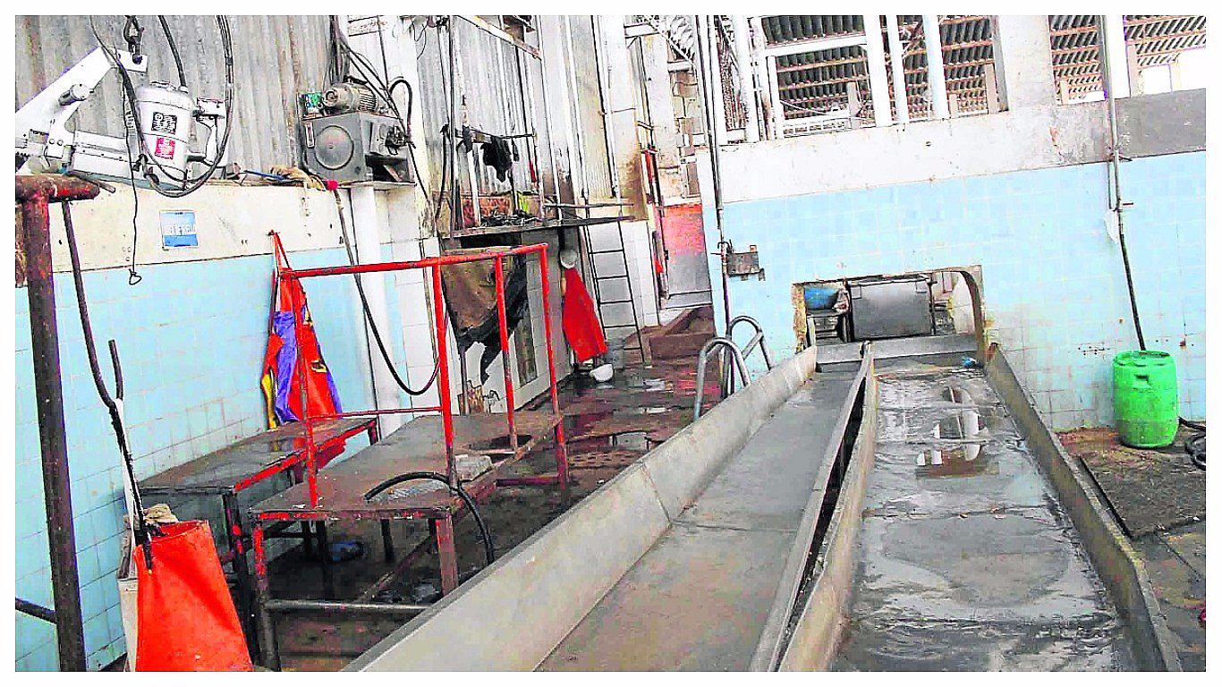 En Huancayo ​Senasa alerta que hay 50 mataderos clandestinos