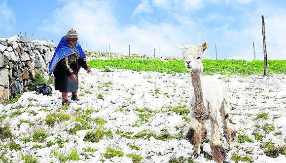 Perú Anuncian Simulacros Por Inicio De Friaje Y Heladas En Junín