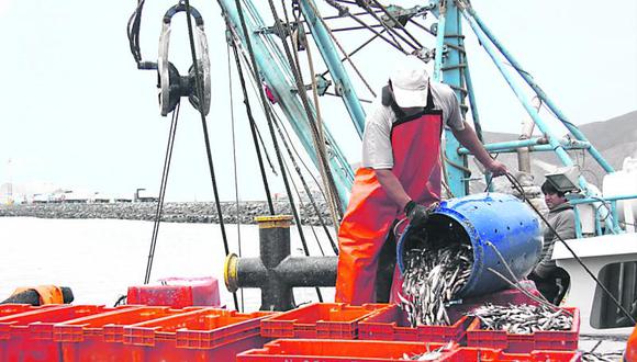 El Niño hace estragos en industria pesquera