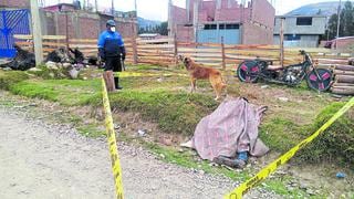 “Yuyo”, el perro que se quedó cuidando el cadáver de su dueño durante varias horas, en Huancayo (FOTOS)