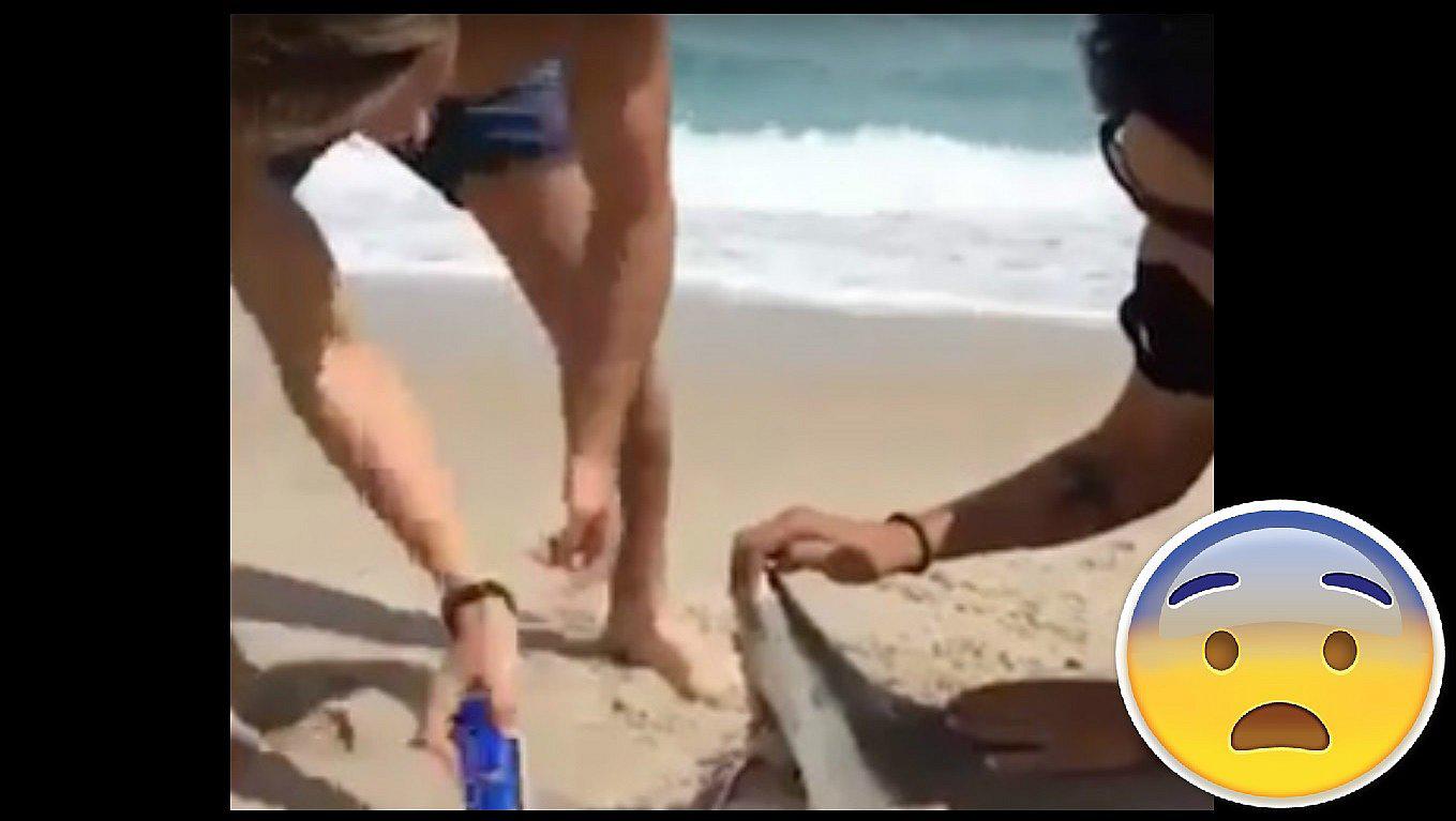 YouTube: jóvenes usaron a este animal para abrir cervezas (VIDEO)