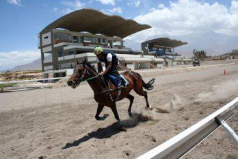 El hipódromo
 de los nuevos retos