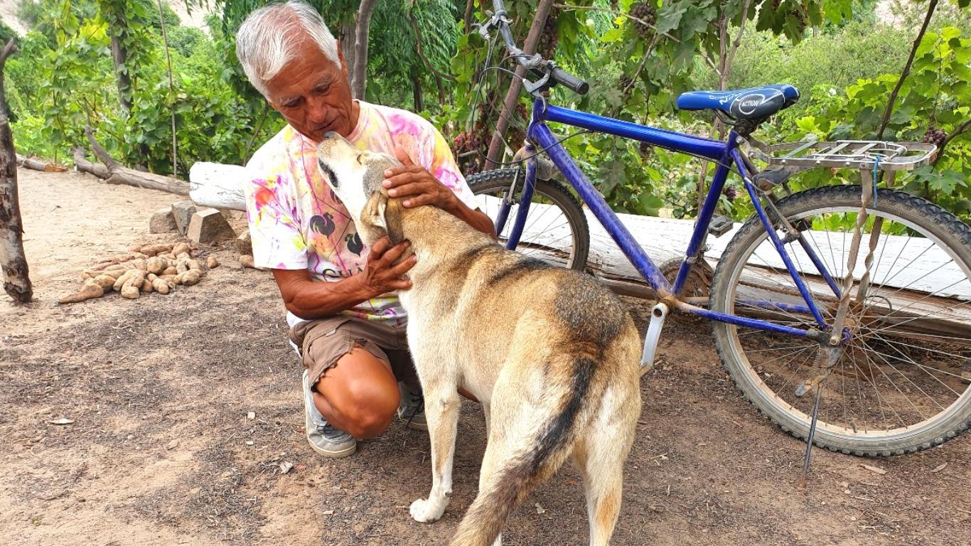 'Manolo' entregando amor a uno de sus fieles acompañantes. Detrás se ubica el terreno en donde siembra diferentes frutas. Foto: Bryan Ortiz