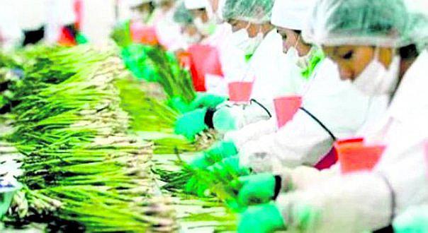 El 78% de exportaciones a Honduras fueron productos no tradicionales