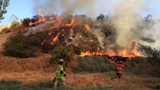 La región Junín tiene 78 focos de calor con riesgo de producir un incendio forestal