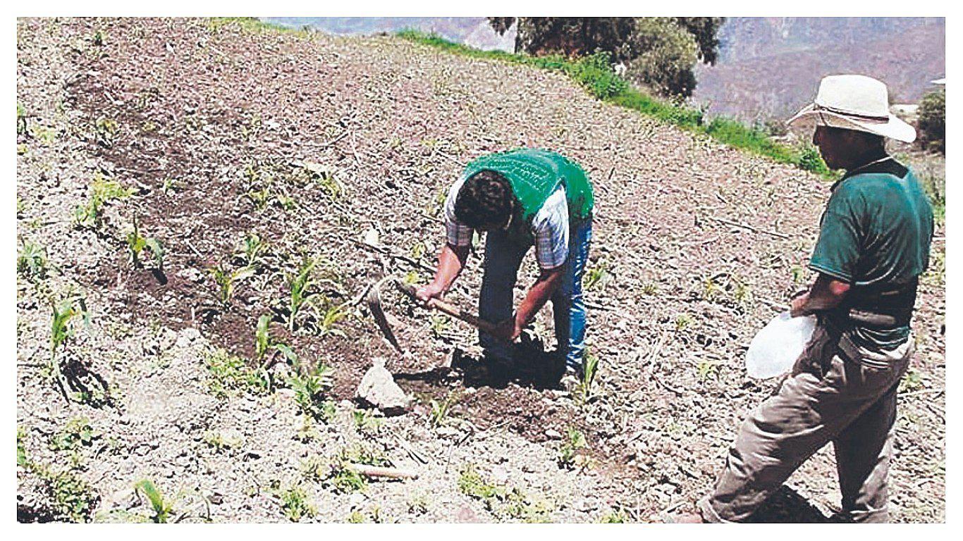 Entregan más de 6 toneladad de semillas a productores