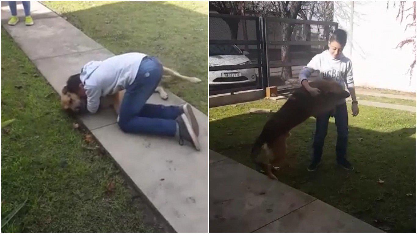 Facebook: el conmovedor reencuentro de un niño con su perro que se había perdido (VIDEO)