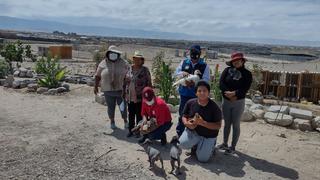 Emprendedores no se rinden y luchan en medio del desierto