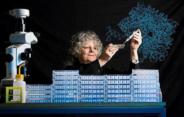 Científica Premio Nobel de Química: “Si no creamos nuevos antibióticos la gente morirá a los 50 o 60 años”