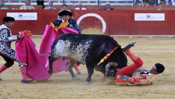 Sacrificarán a la madre del toro que mató al torero Víctor Barrio